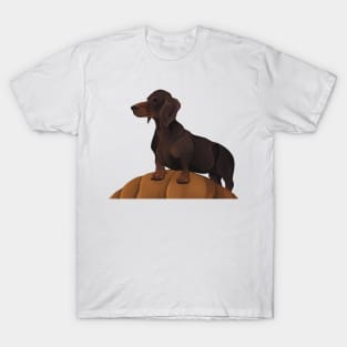 Halloween Hound - Dachshund in autumn T-Shirt